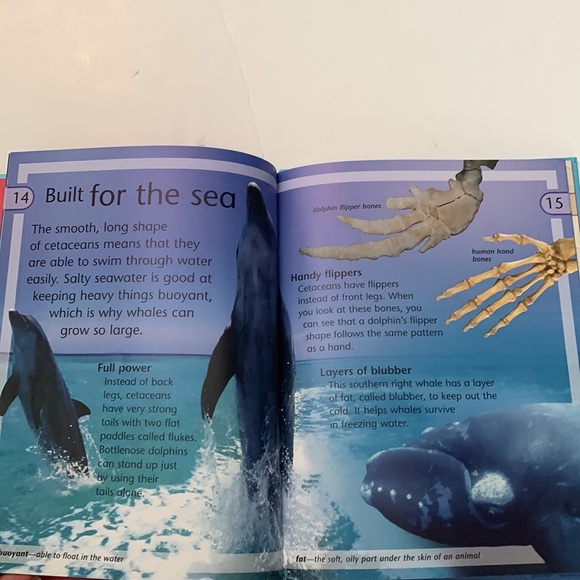 Whales and dolphins by Caroline Harris - Picture 4 of 10